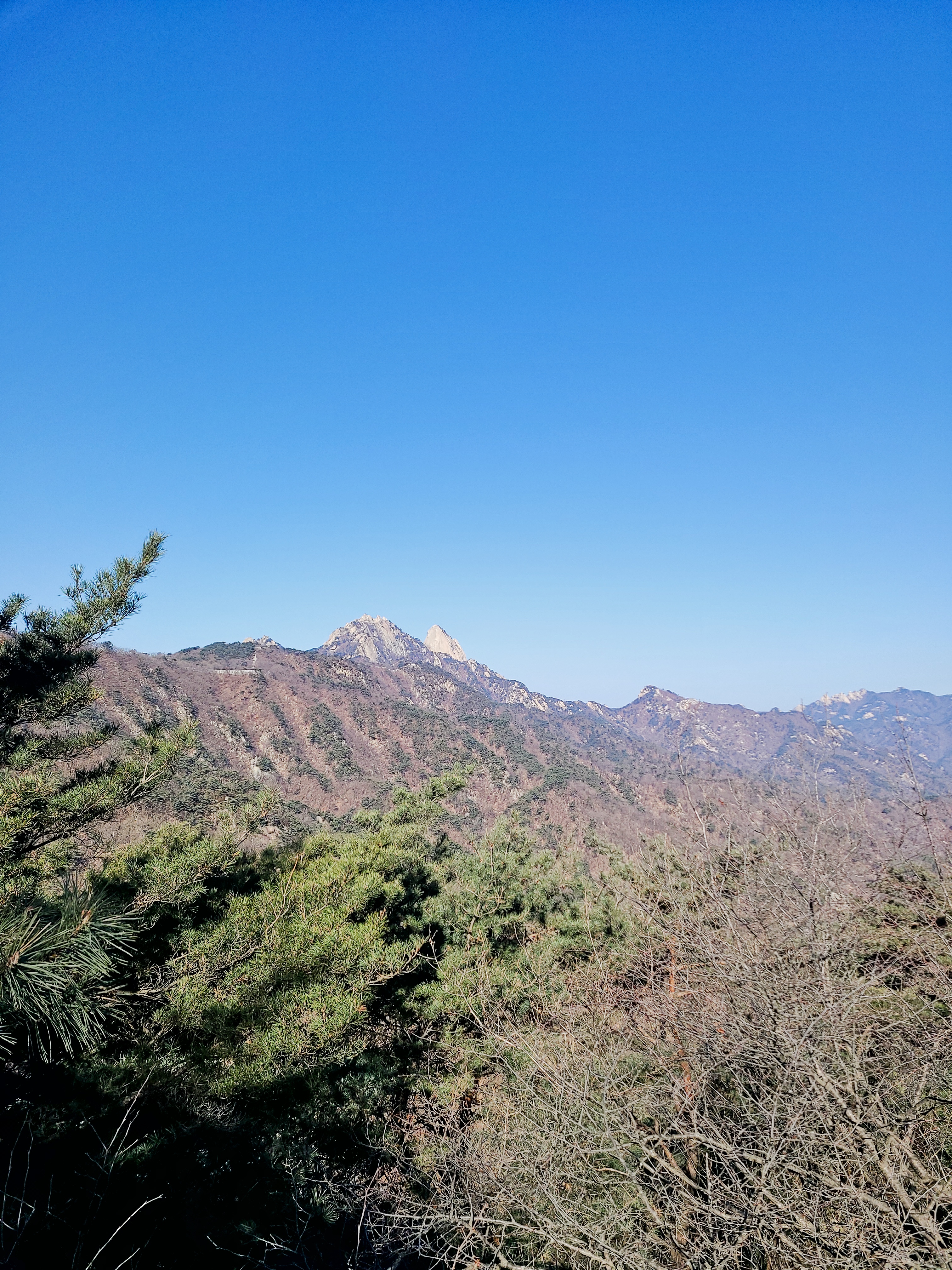 첨부 이미지