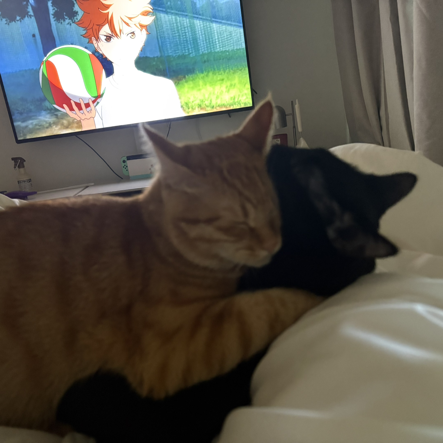 첨부 이미지