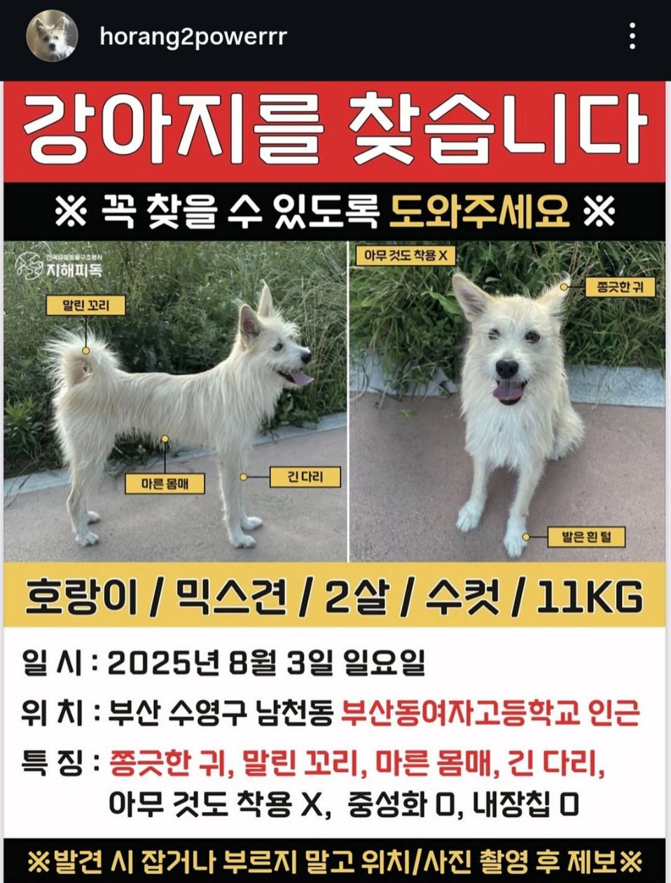 첨부 이미지