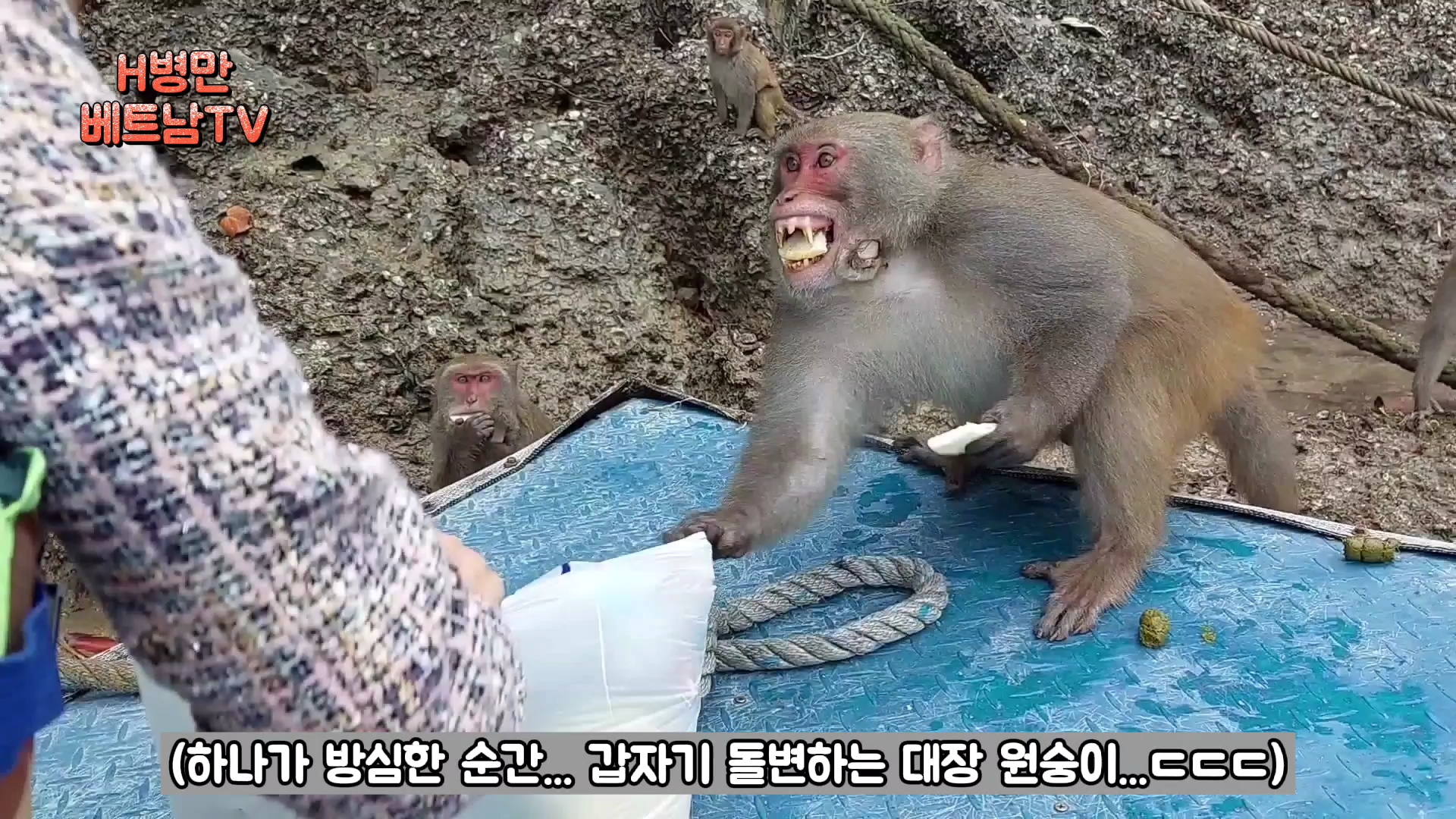 첨부 이미지