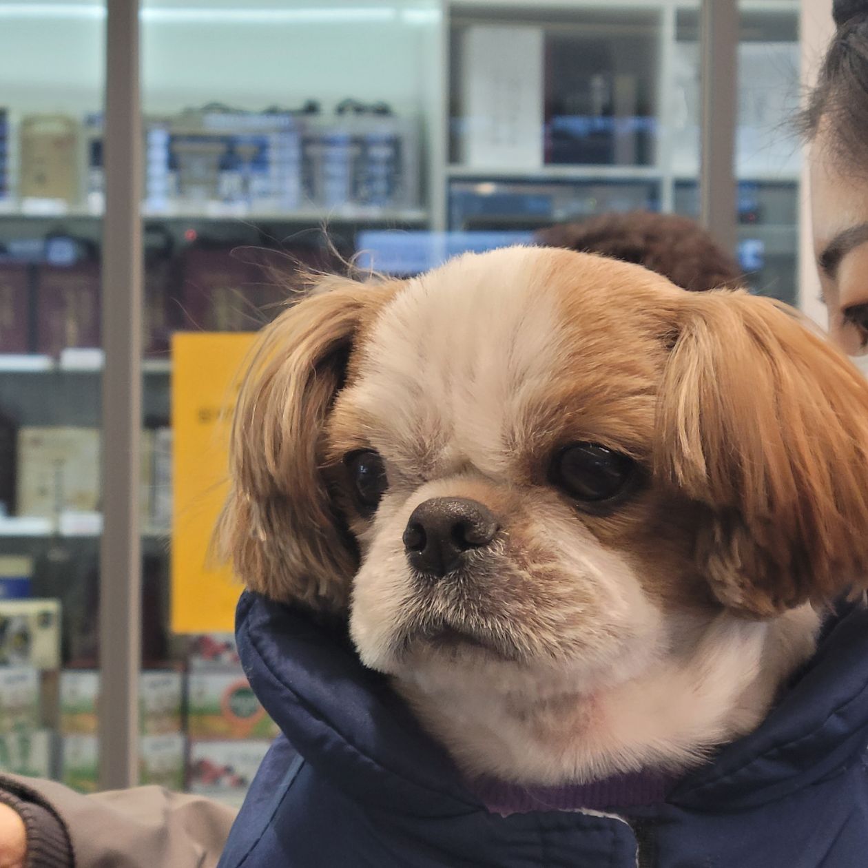 첨부 이미지