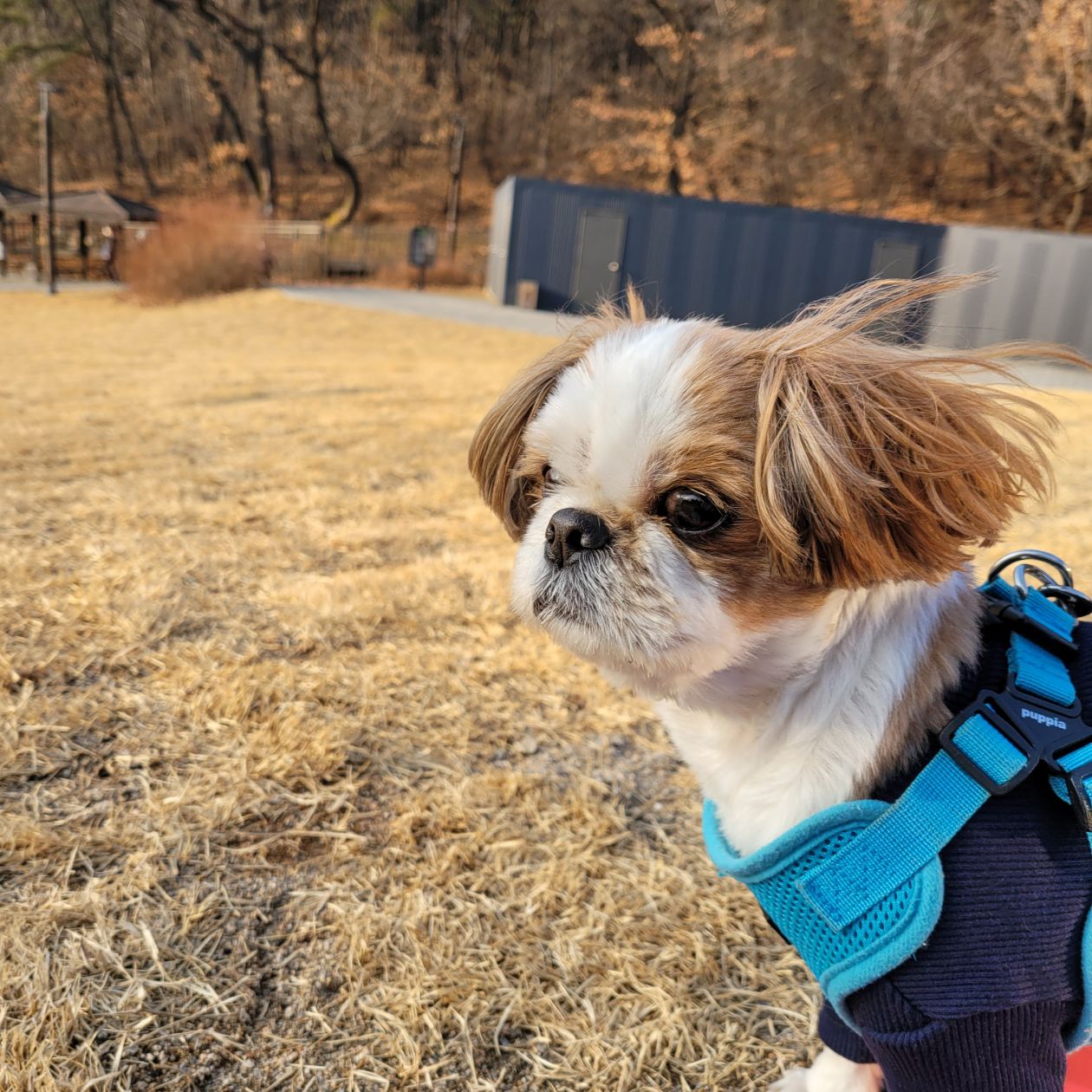 첨부 이미지