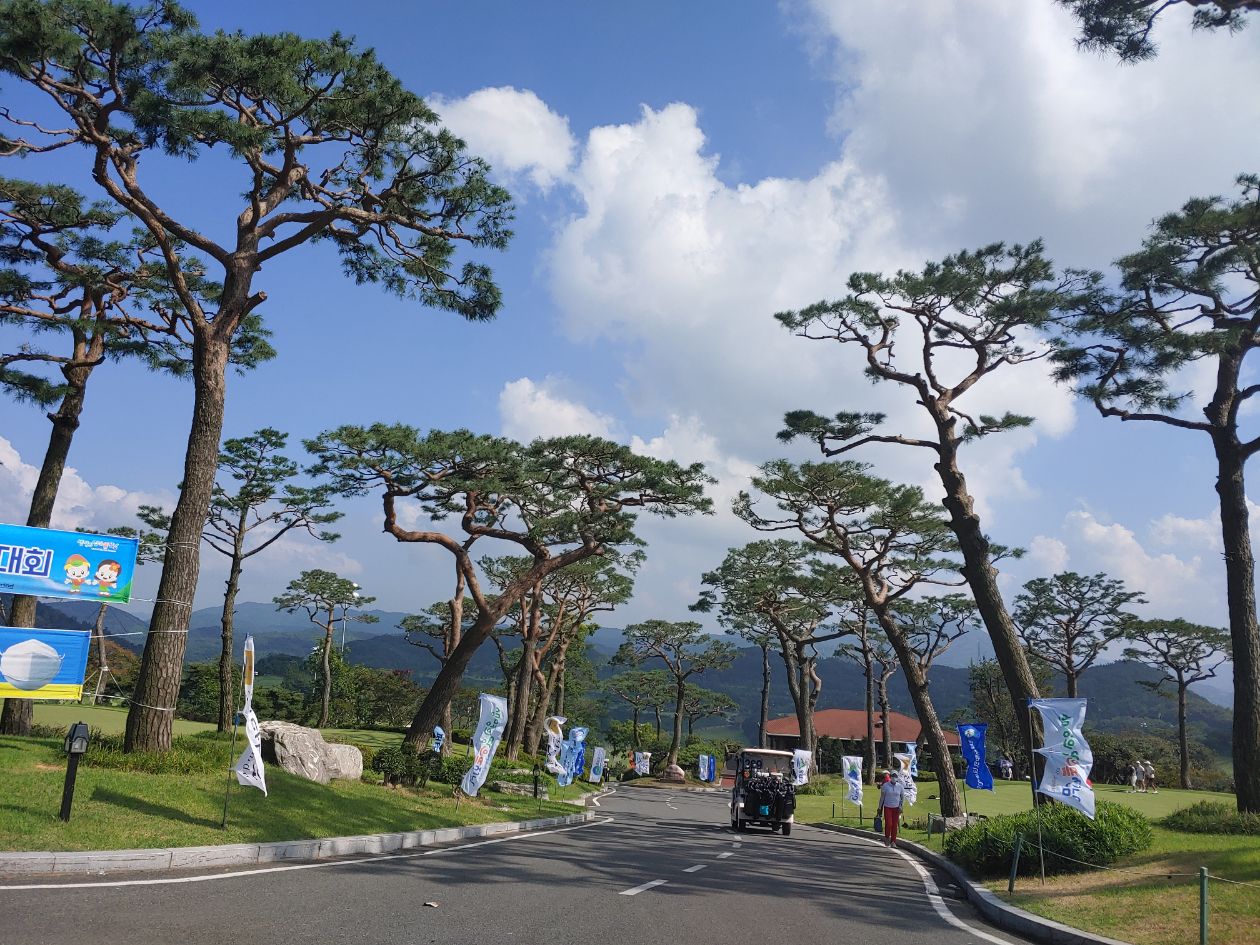 첨부 이미지