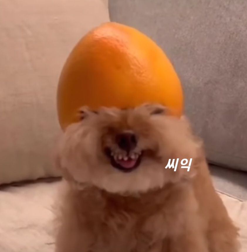 첨부 이미지
