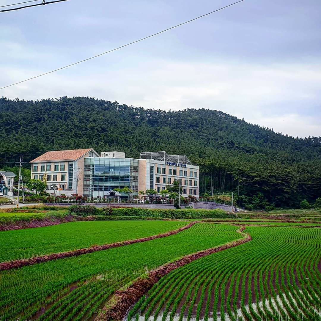 첨부 이미지