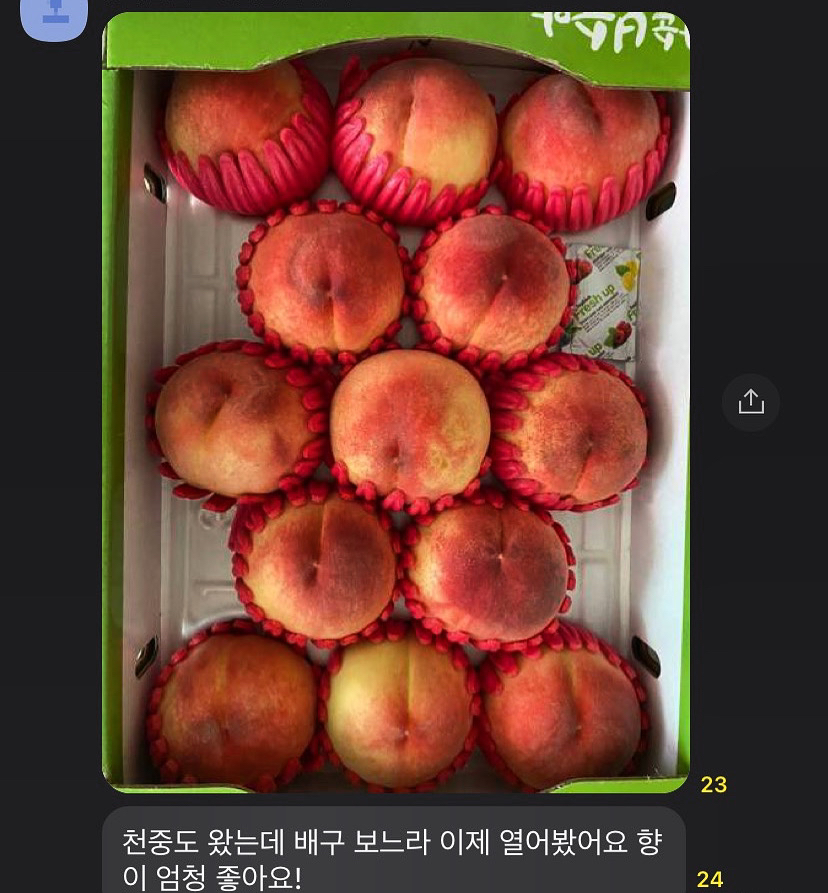 첨부 이미지
