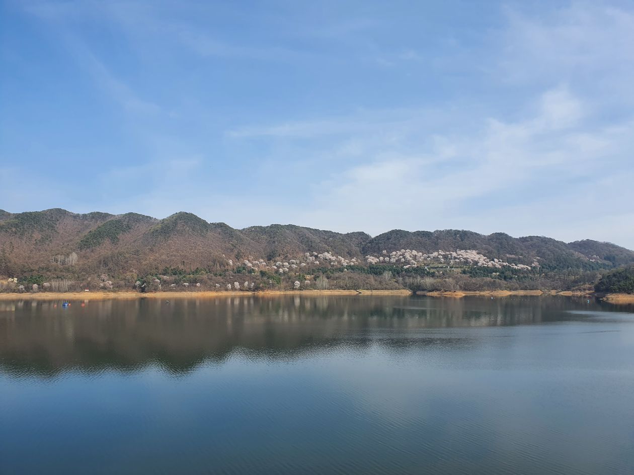 첨부 이미지