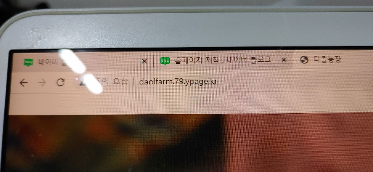 첨부 이미지