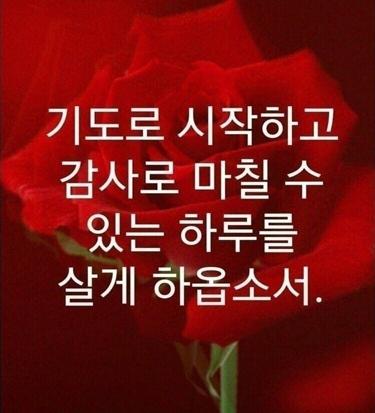 첨부 이미지