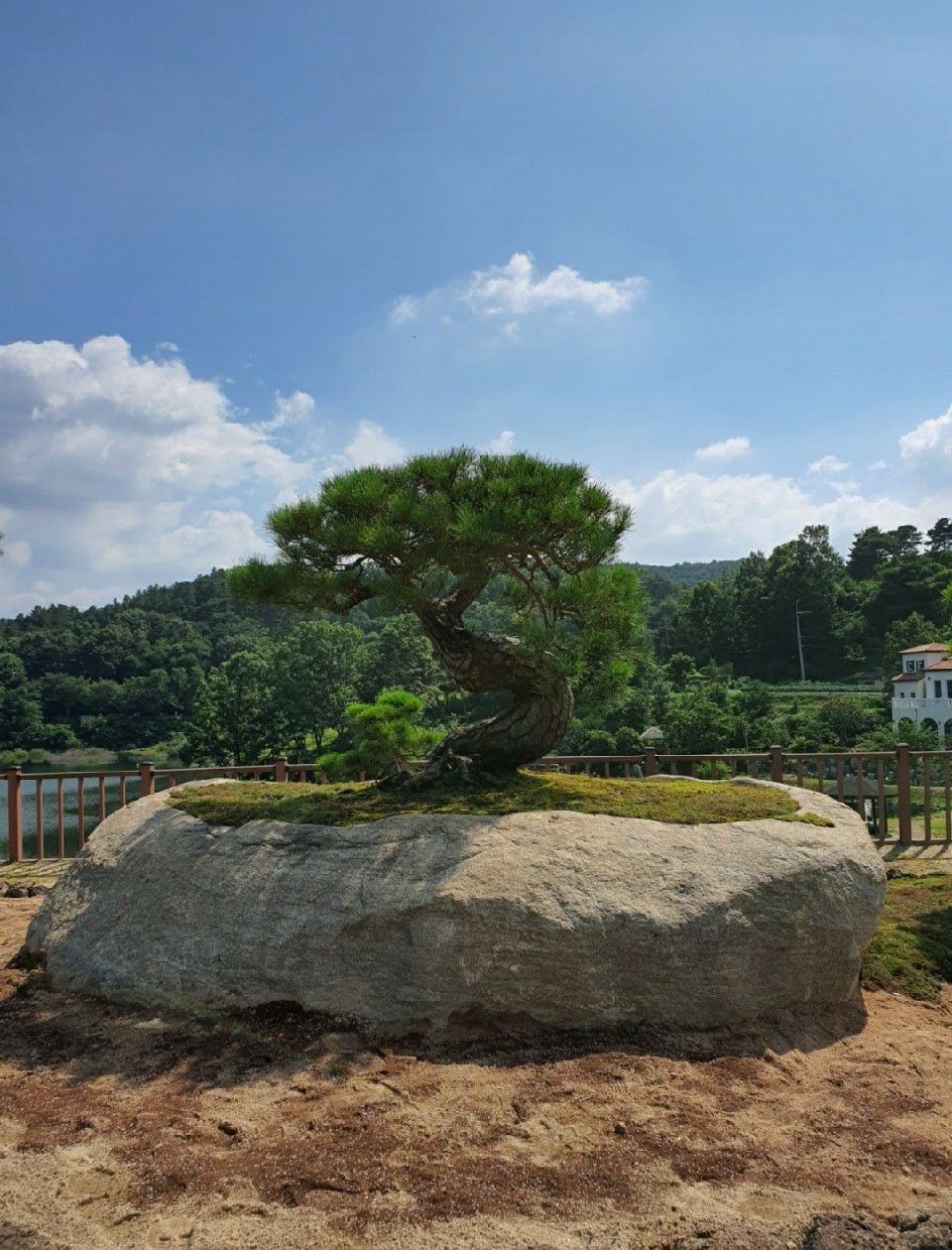 첨부 이미지
