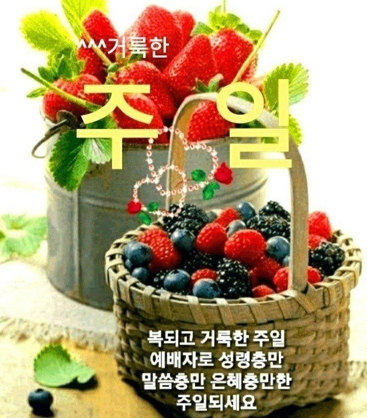 첨부 이미지