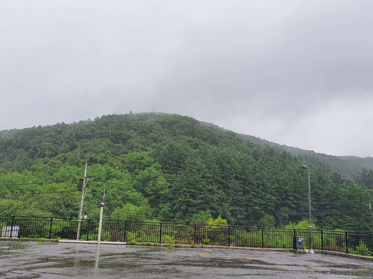 첨부 이미지