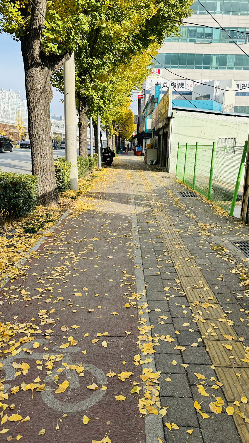 첨부 이미지