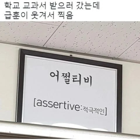 첨부 이미지