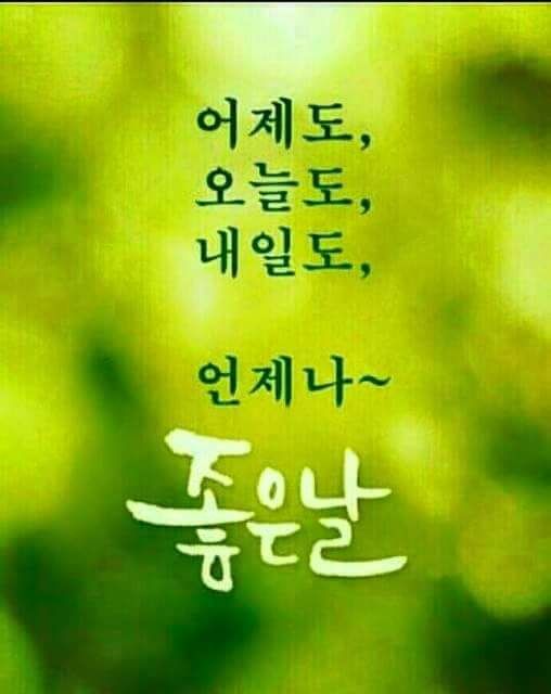 첨부 이미지