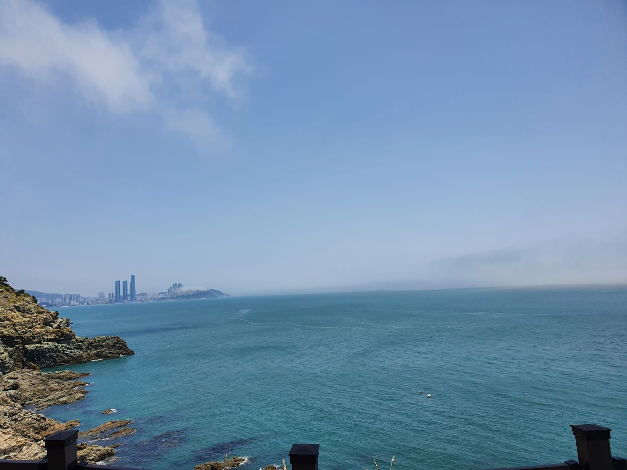 첨부 이미지