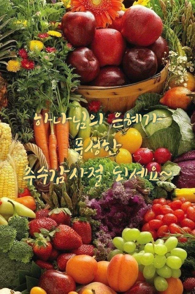 첨부 이미지