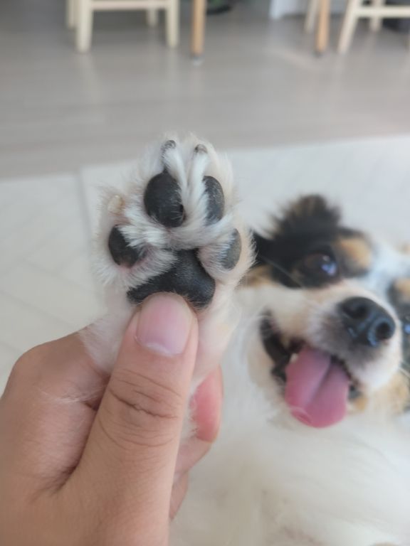 첨부 이미지