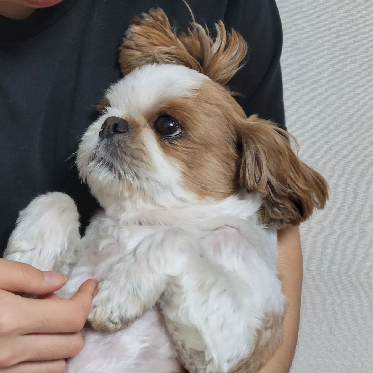 첨부 이미지
