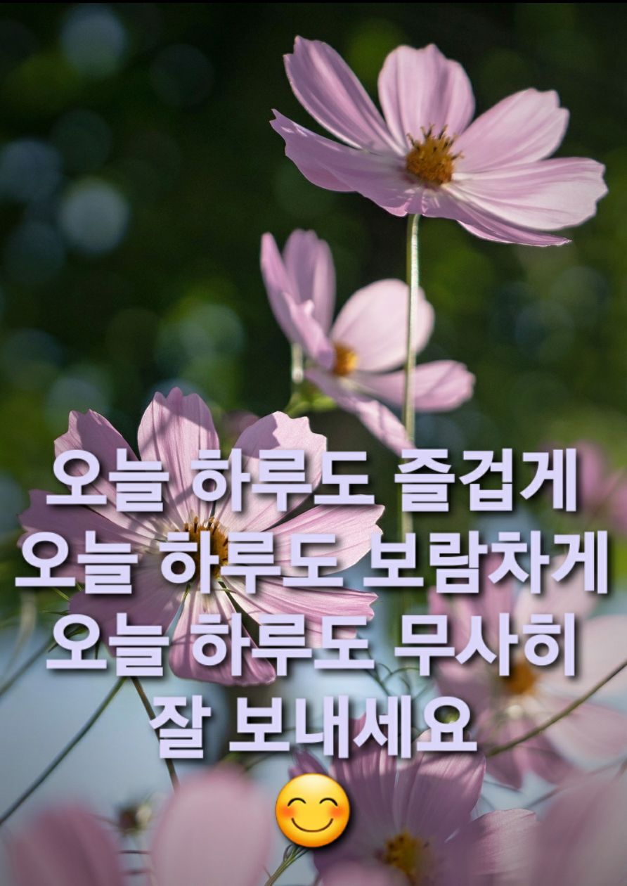 첨부 이미지