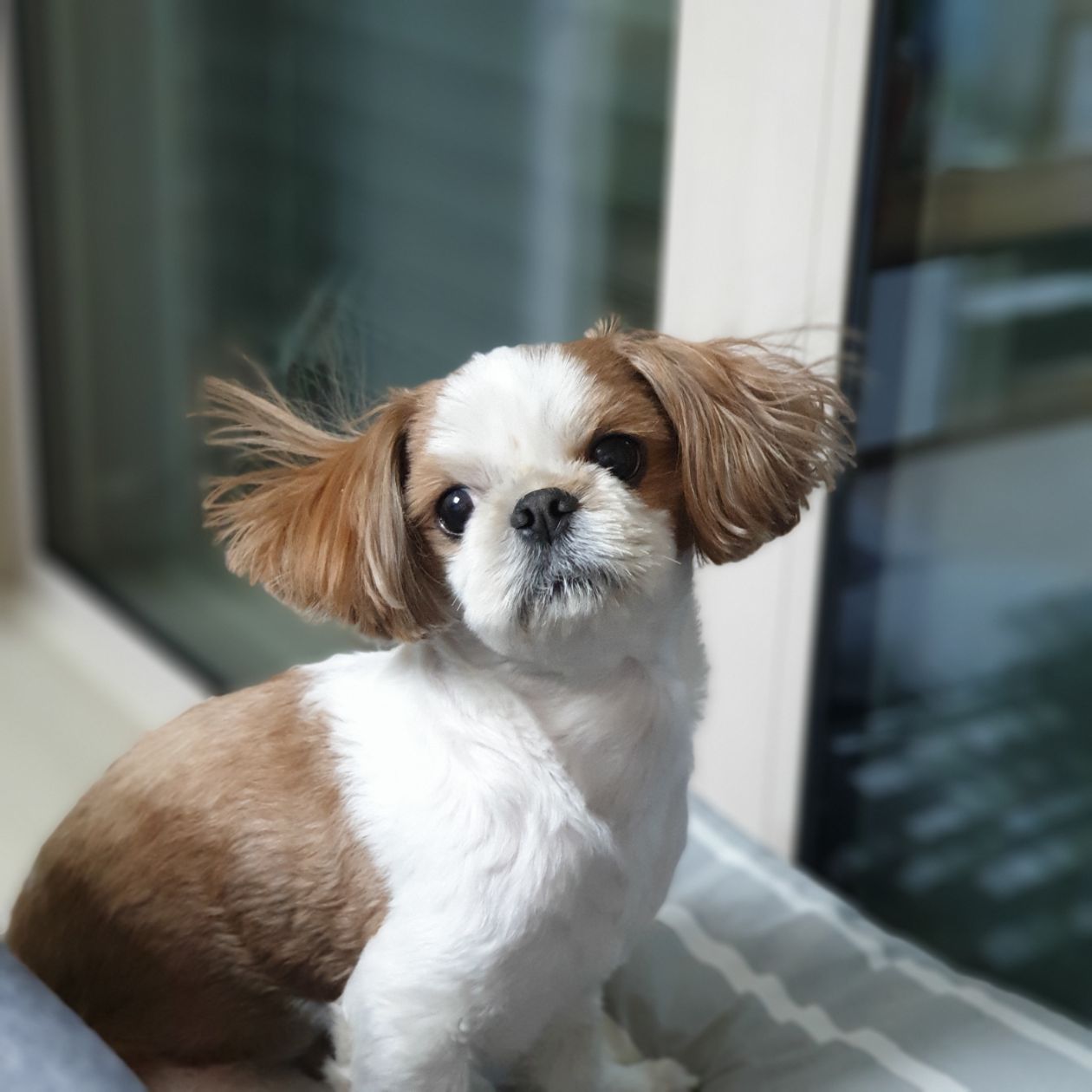 첨부 이미지