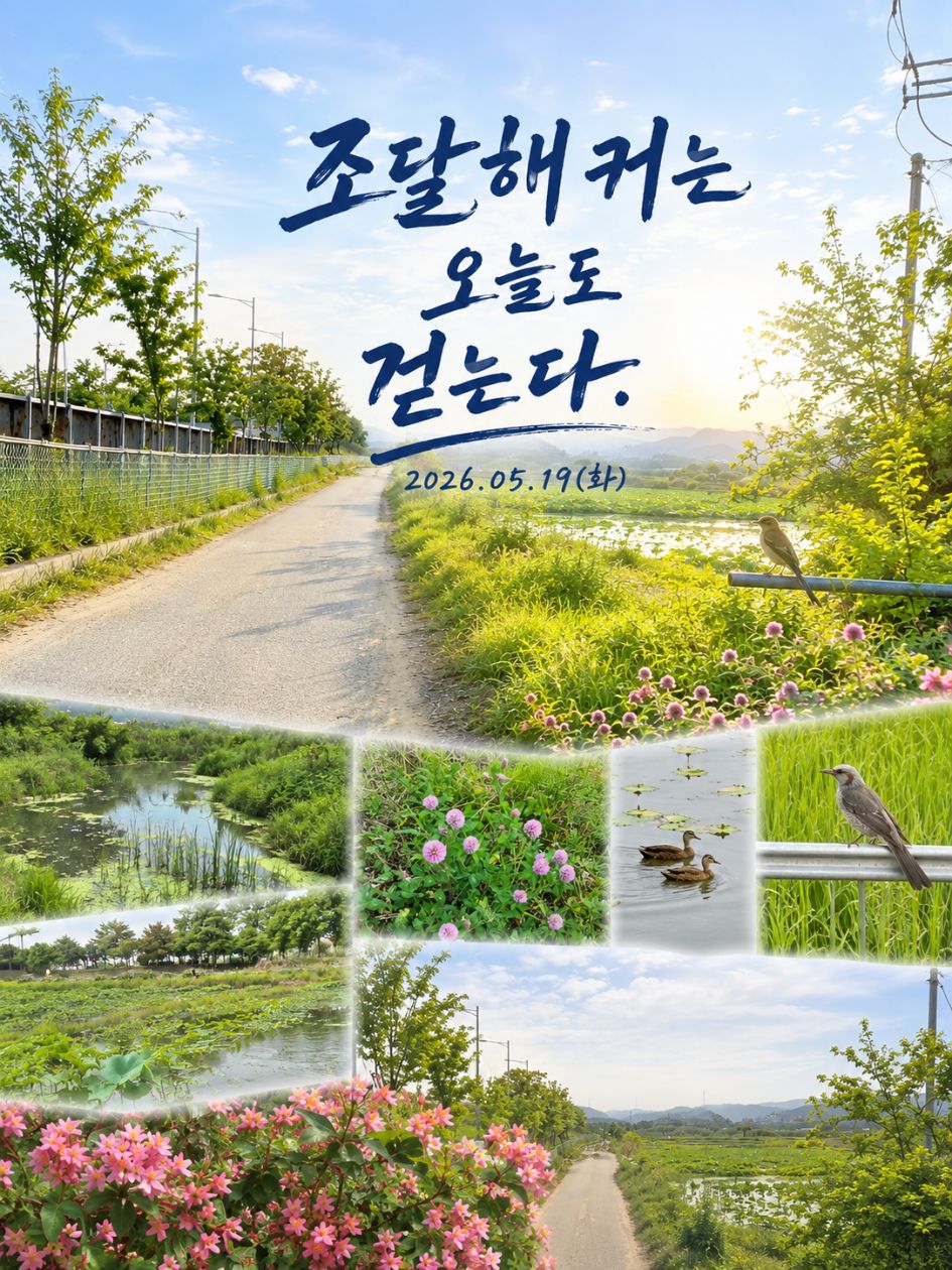 첨부 이미지