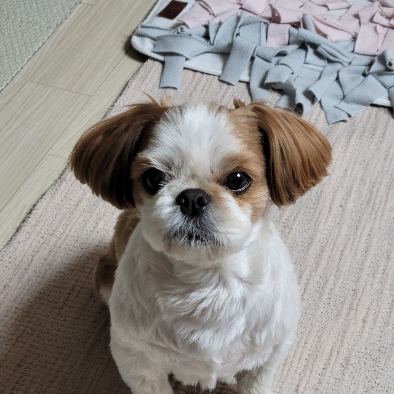 첨부 이미지
