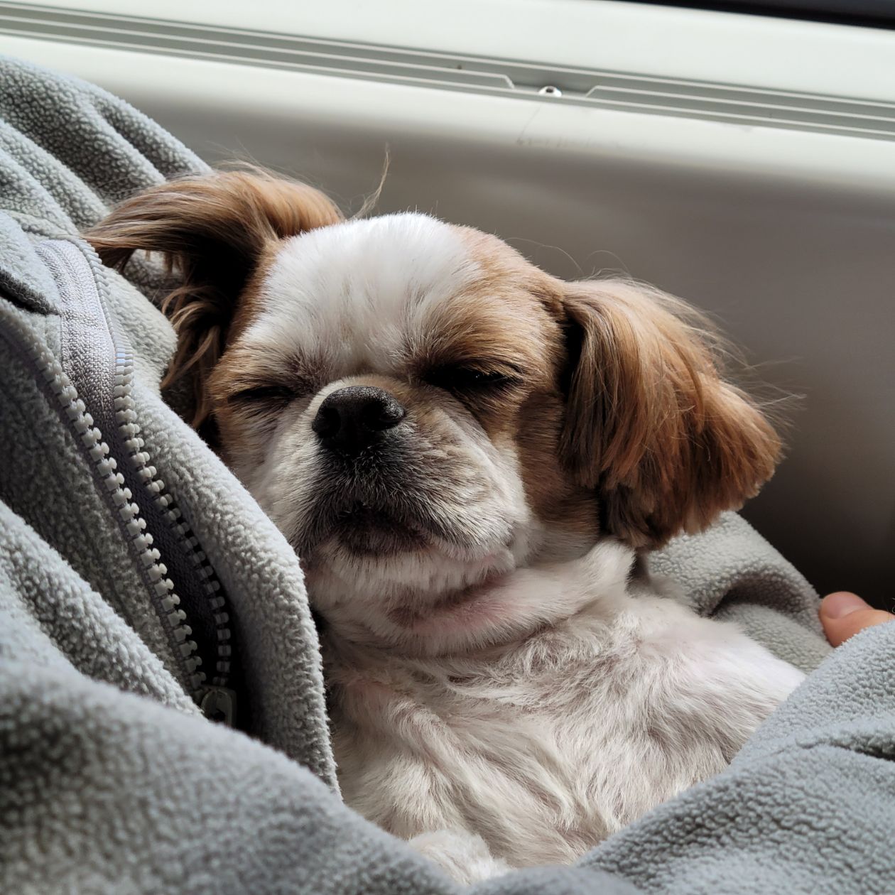 첨부 이미지