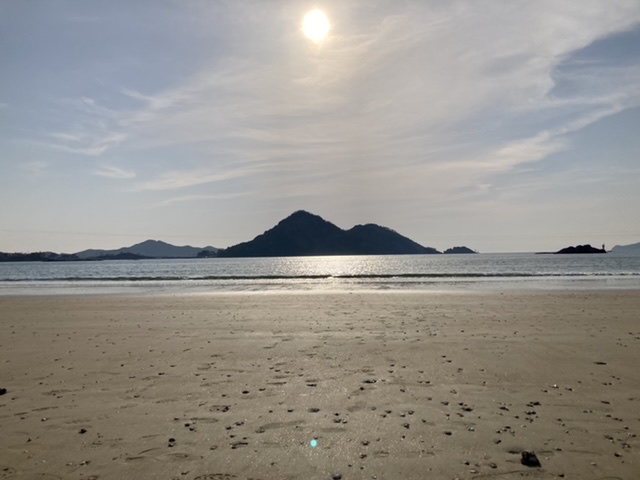 첨부 이미지