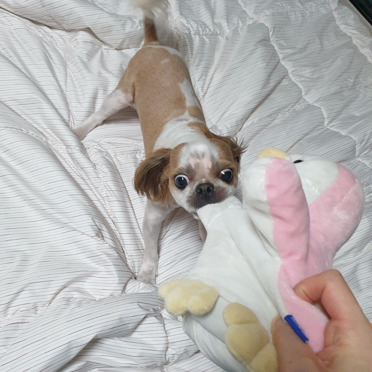 첨부 이미지