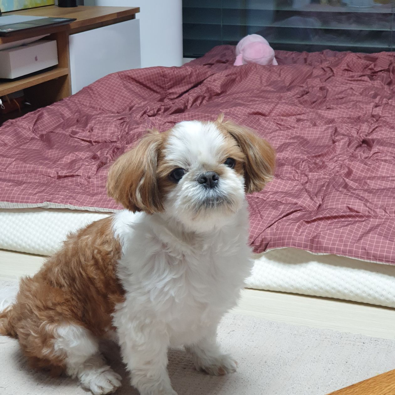 첨부 이미지