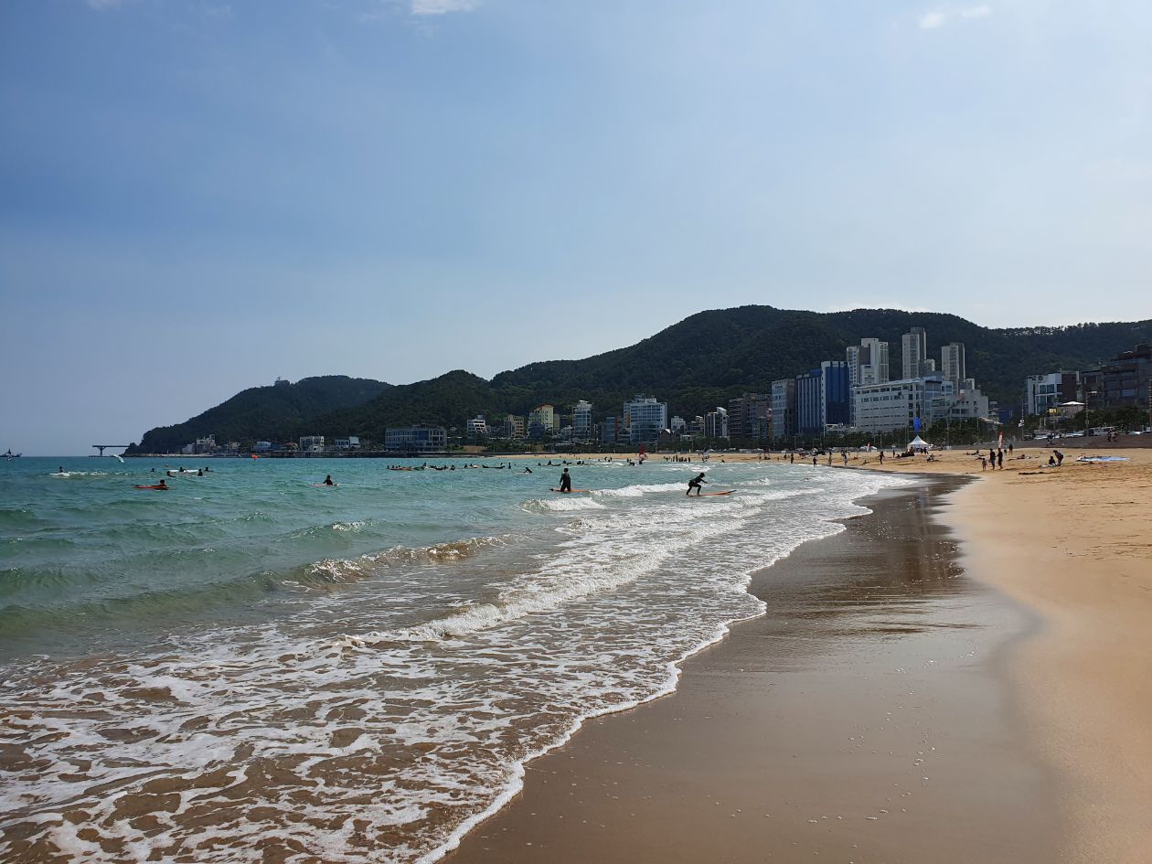 첨부 이미지