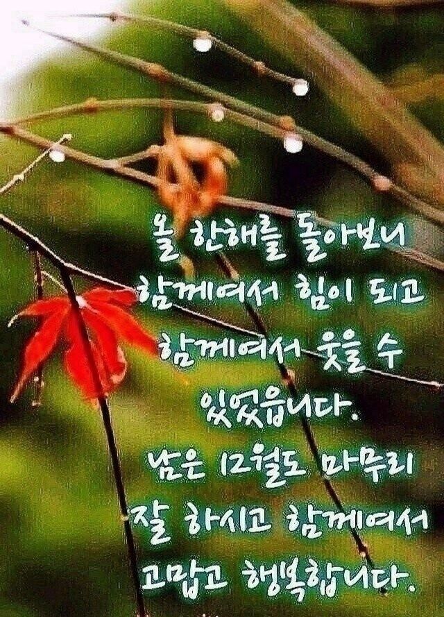 첨부 이미지