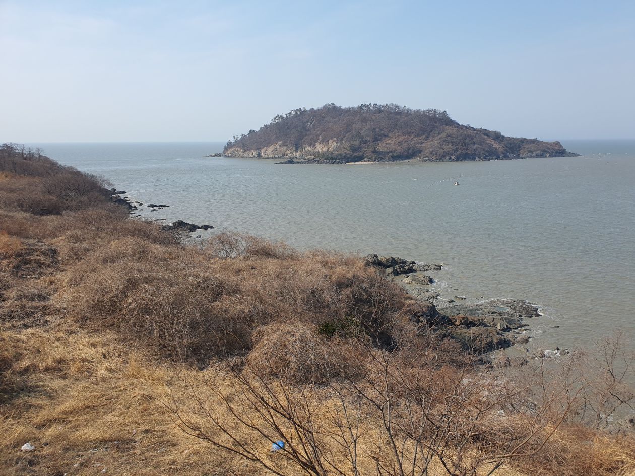 첨부 이미지