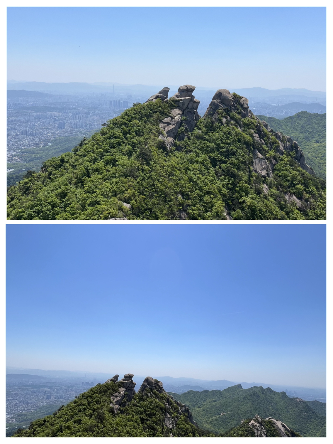 첨부 이미지