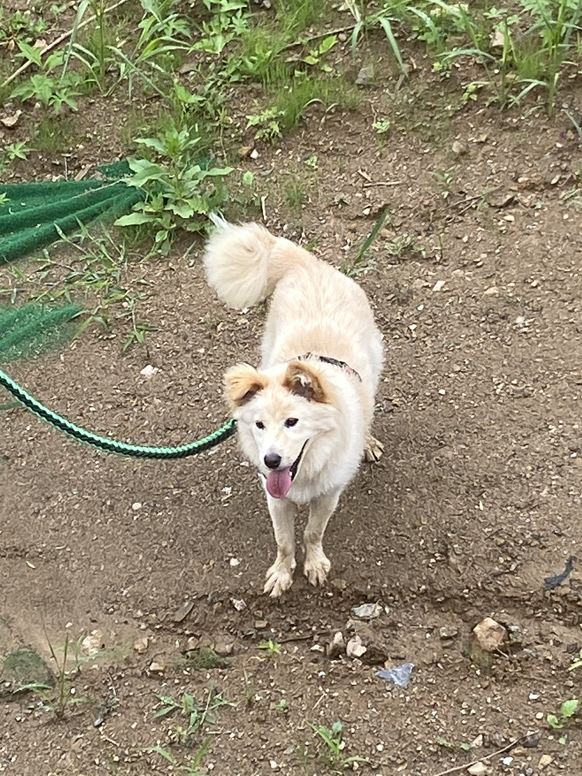첨부 이미지