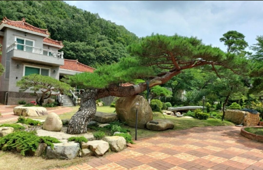 첨부 이미지