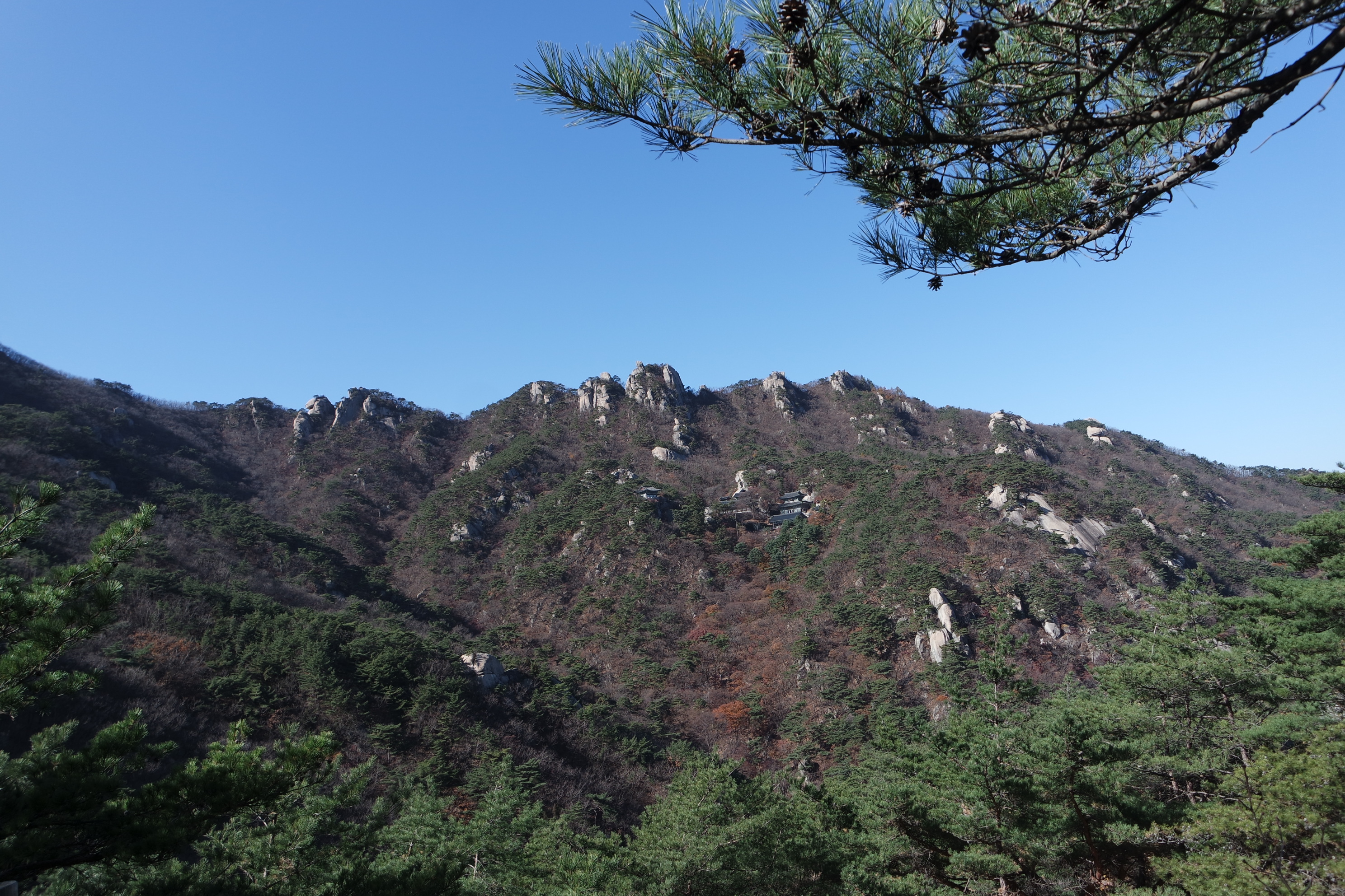 첨부 이미지