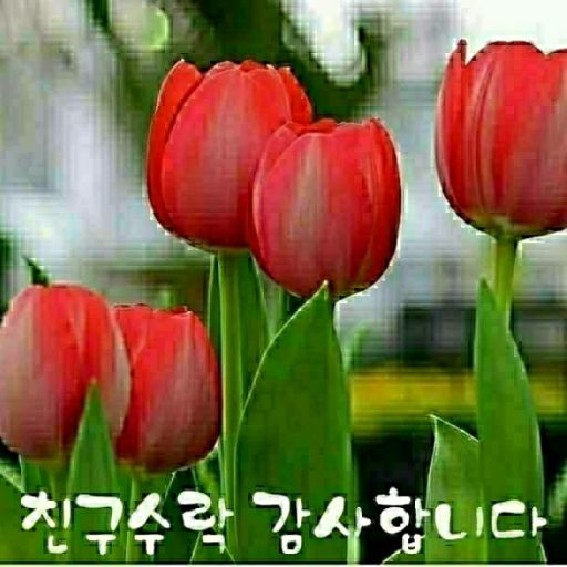 첨부 이미지