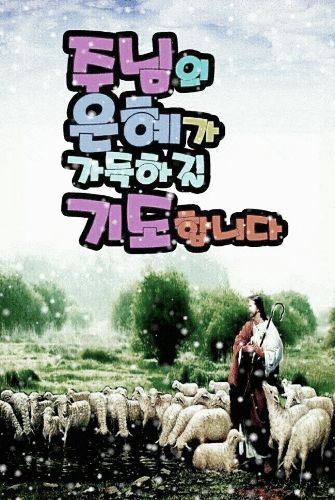 첨부 이미지