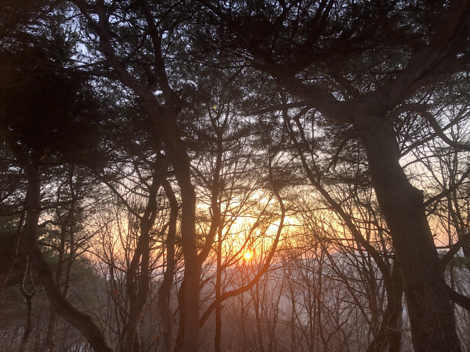 첨부 이미지