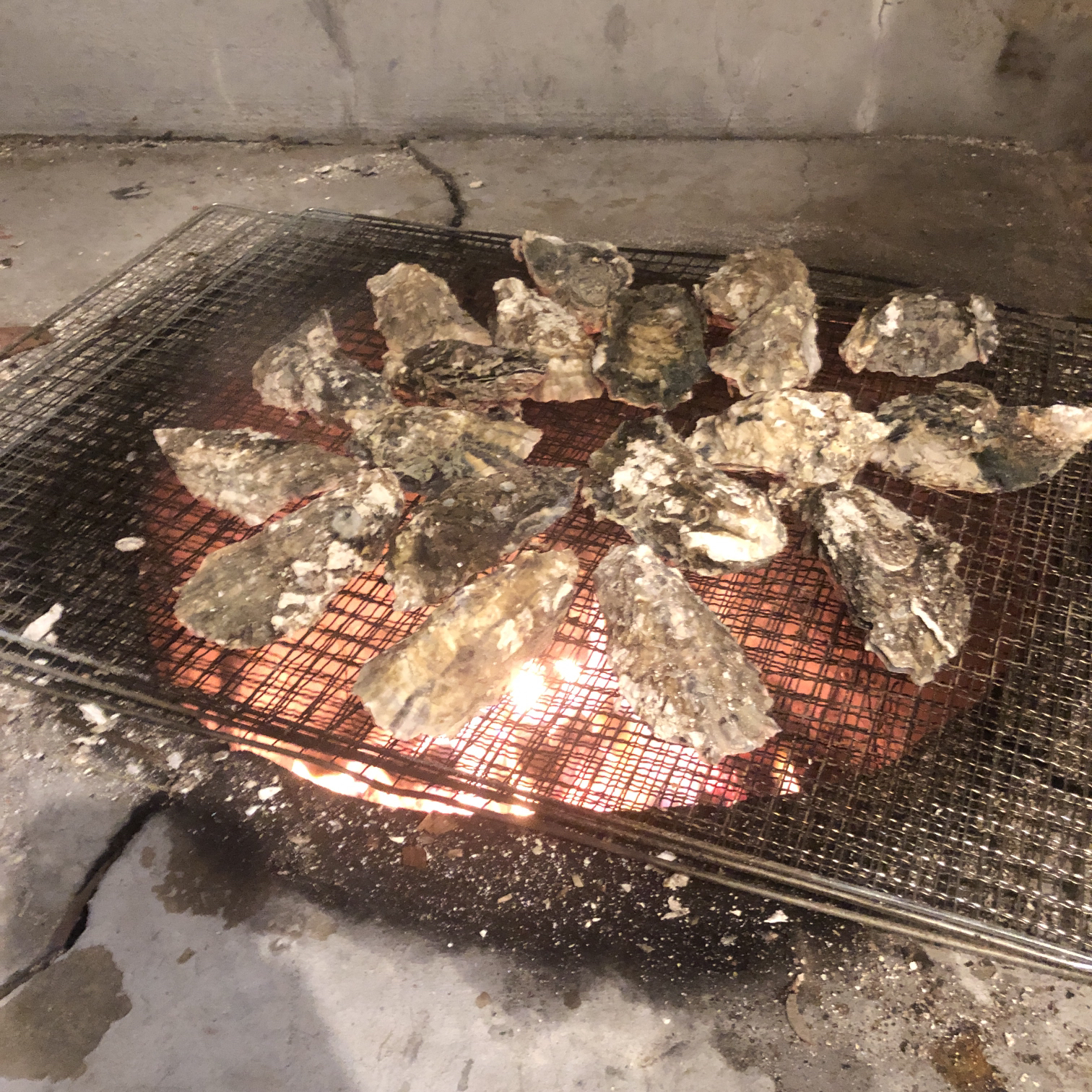 첨부 이미지