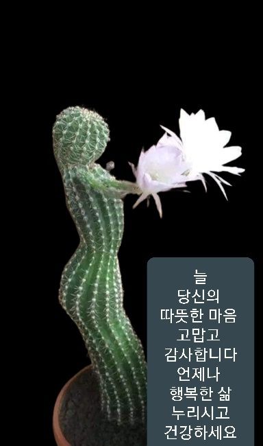 첨부 이미지