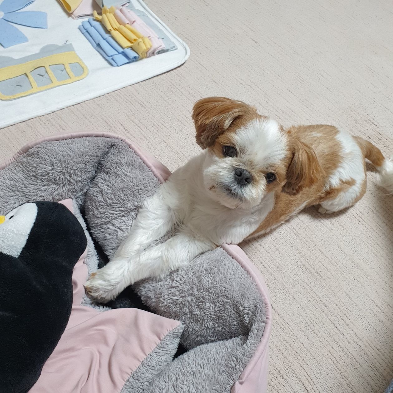 첨부 이미지