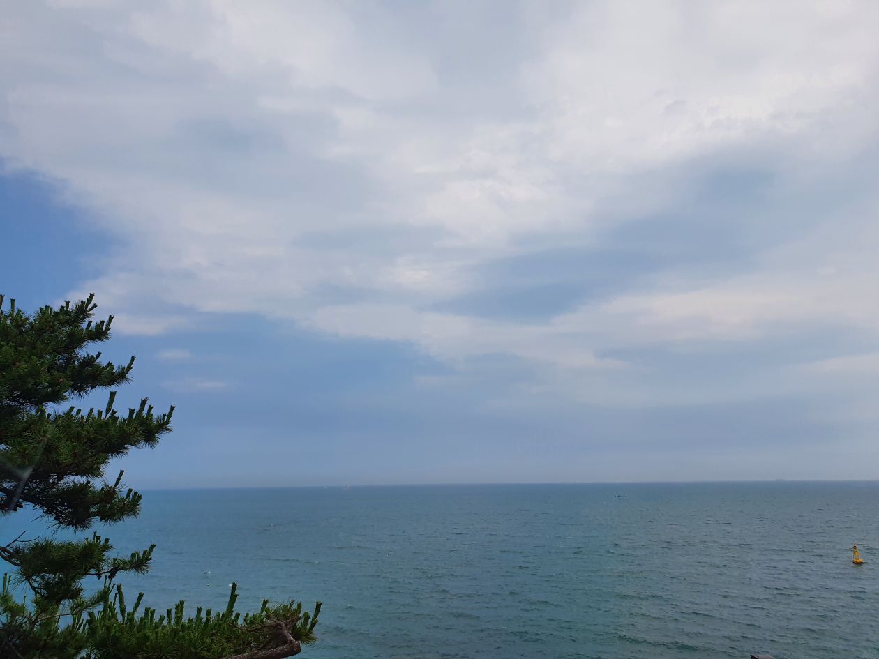 첨부 이미지