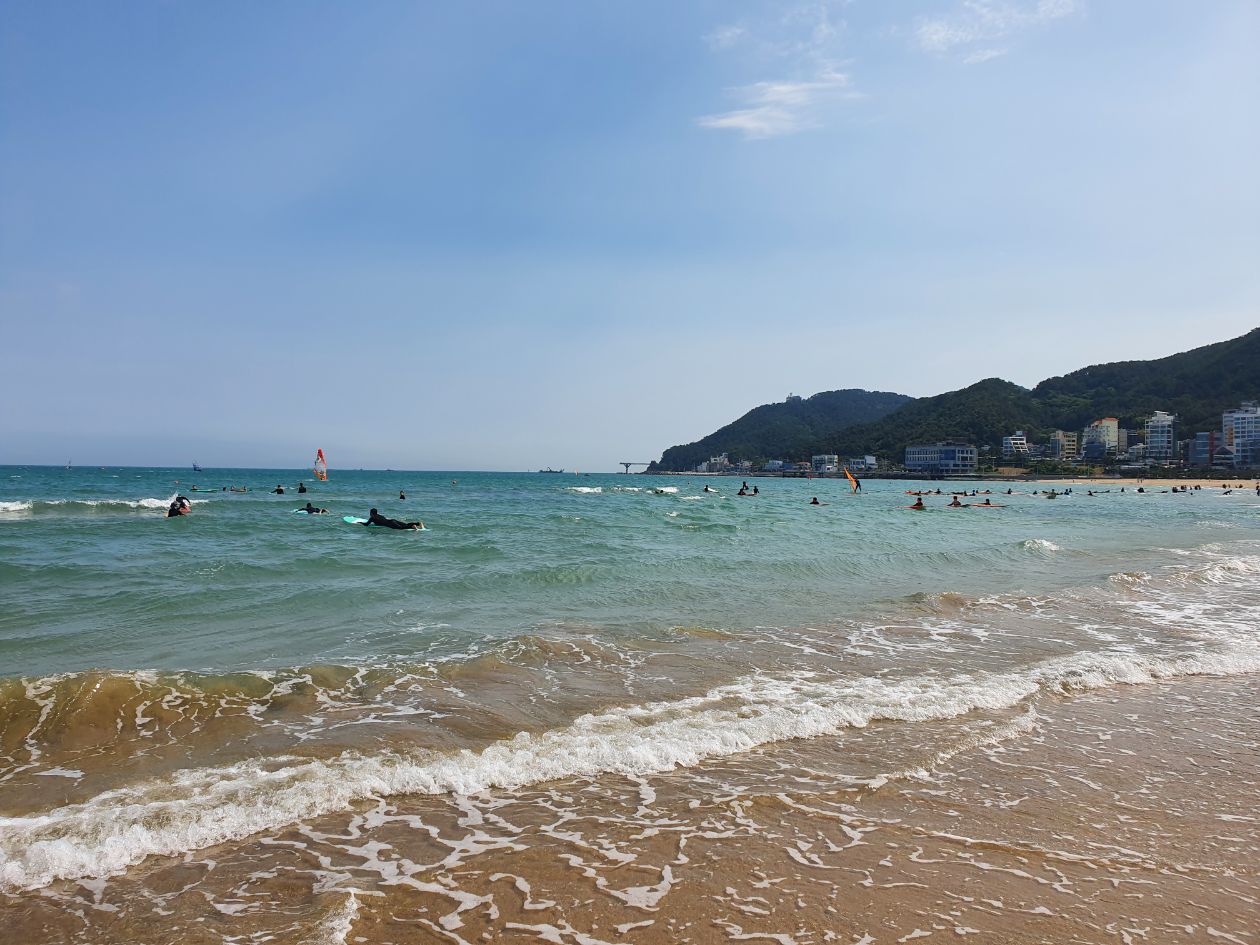 첨부 이미지