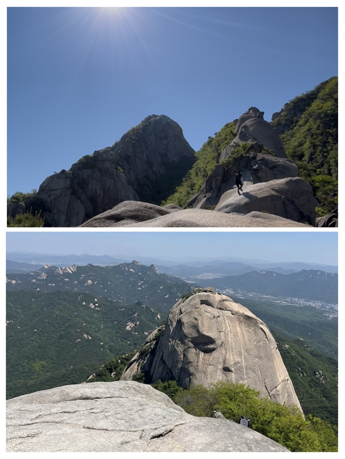 첨부 이미지
