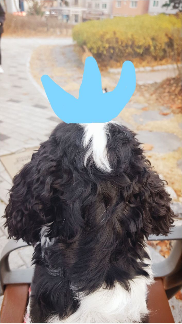 첨부 이미지