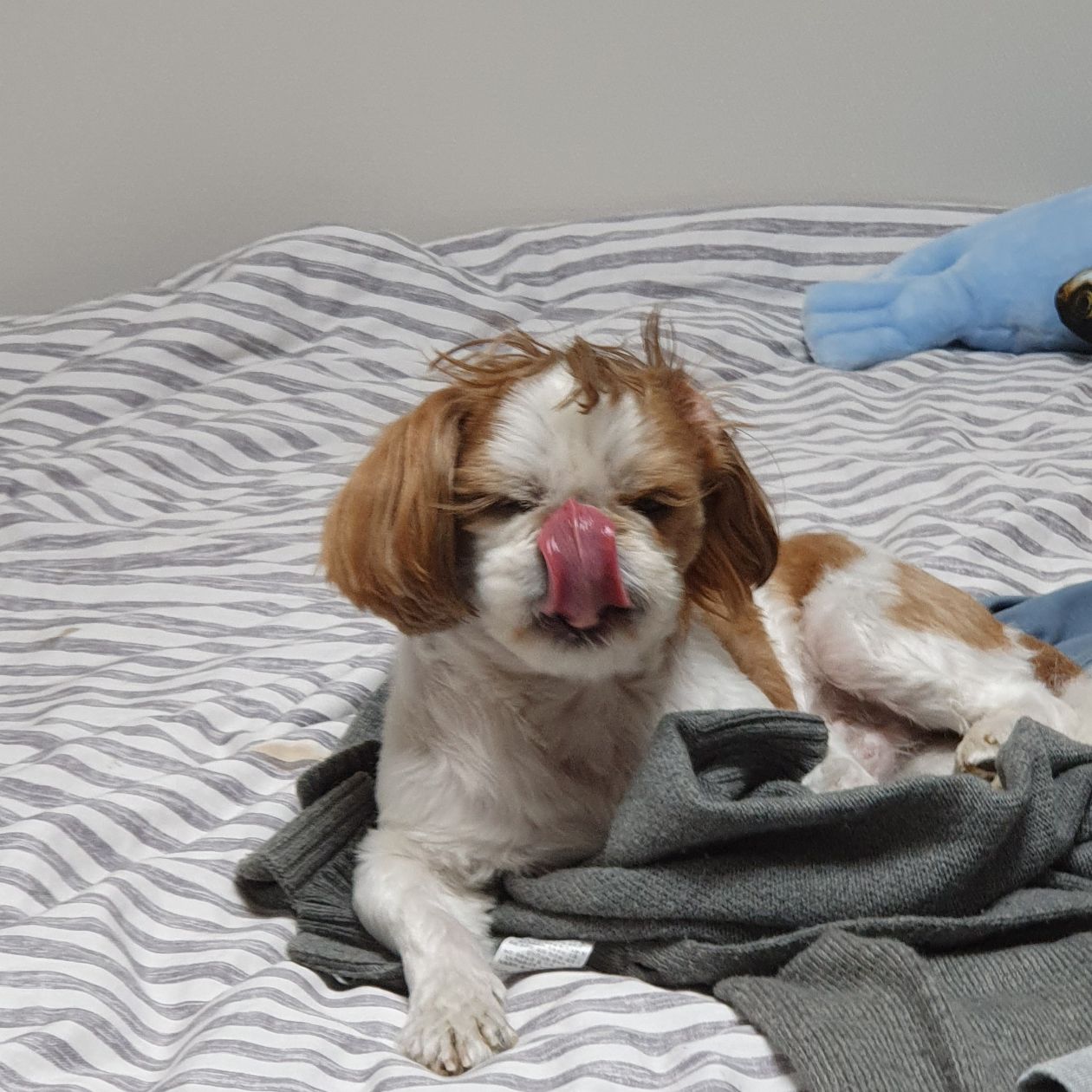 첨부 이미지