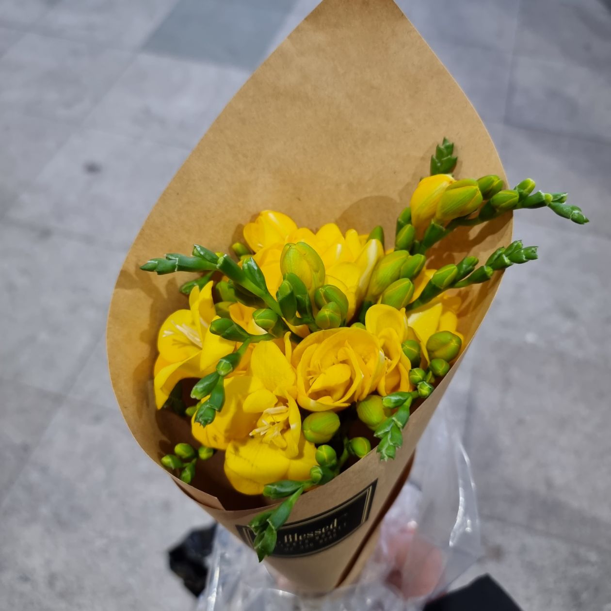 첨부 이미지
